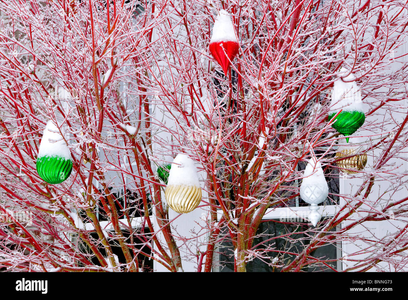 Large Christmas balls with snow. Stock Photo