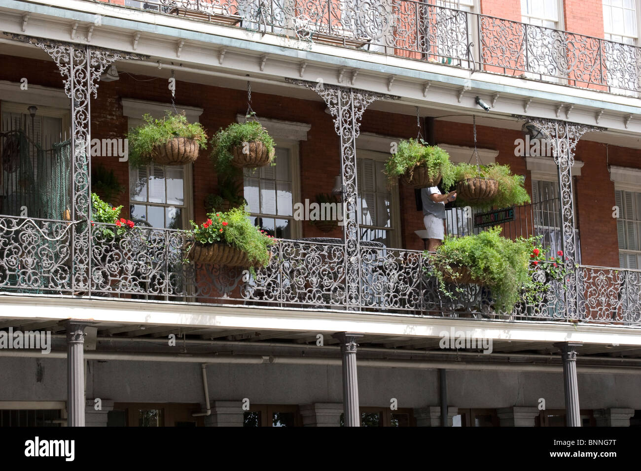 Festooned hires stock photography and images Alamy