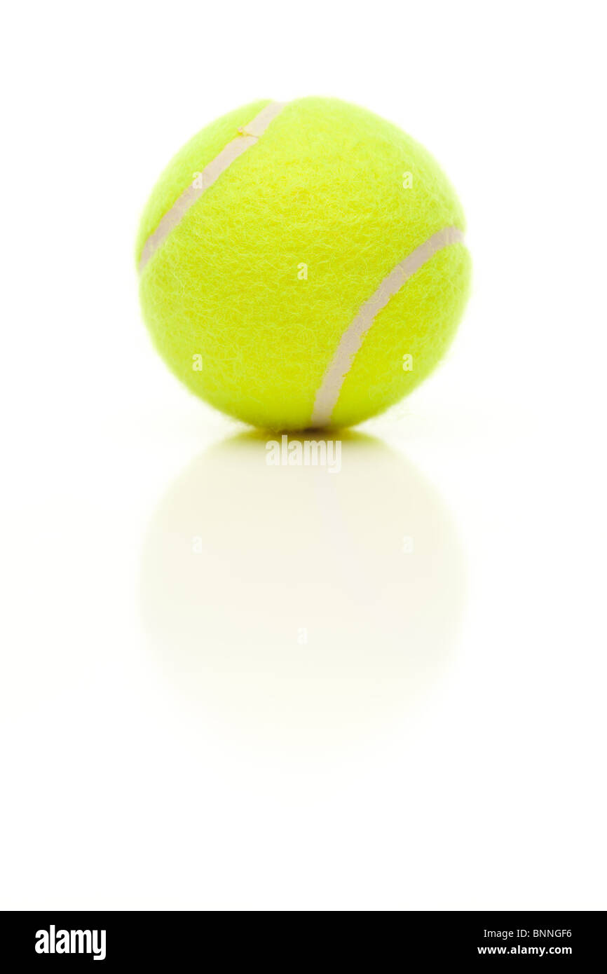 Single Tennis Ball with Slight Reflection Isolated on a White Background. Stock Photo