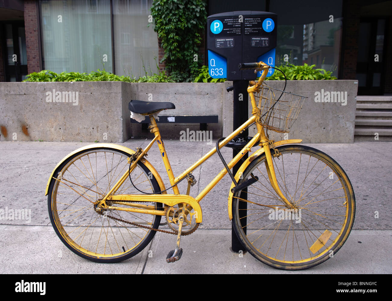 hand painted bicycle