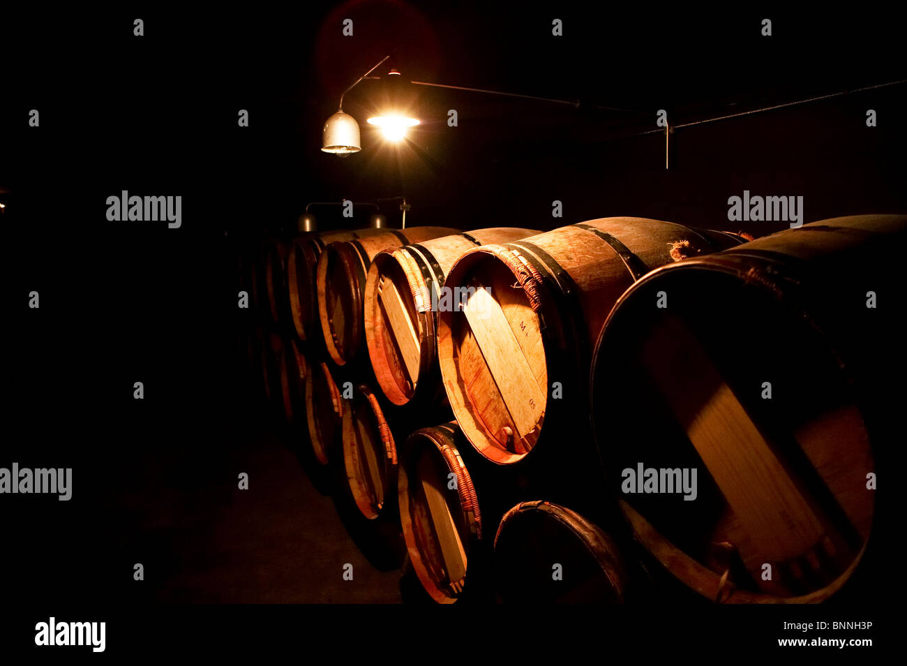 Wine Cellar of Chateau Mouton Rothschild, France Stock Photo Alamy