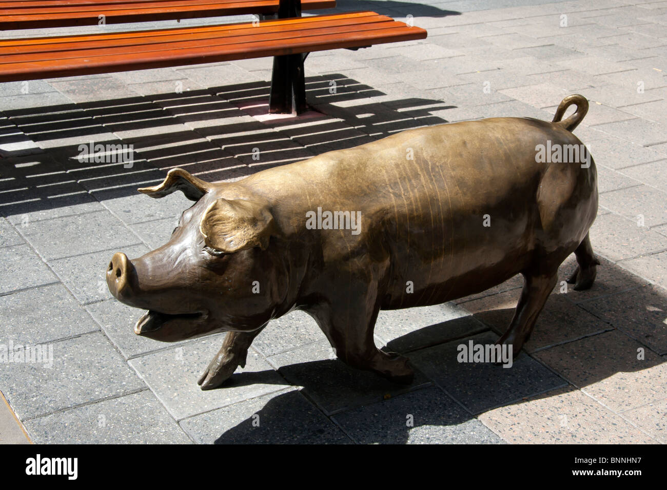 Statue of a bronze pig in Rundle Mall, Adelaide, South Australia Stock