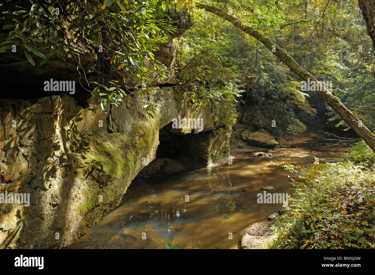 Rocky Arch Creek Arch Daniel Boone National Forest The Red River Gorge Geological Area Kentucky USA America United States of Stock Photo