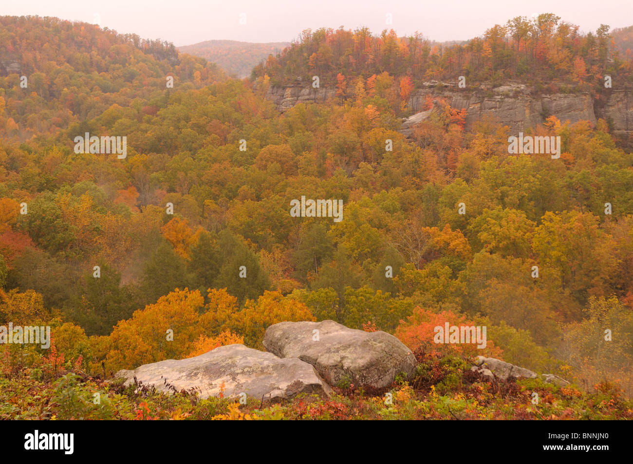 Natural Arch Daniel Boone National Forest Whitley City Kentucky USA