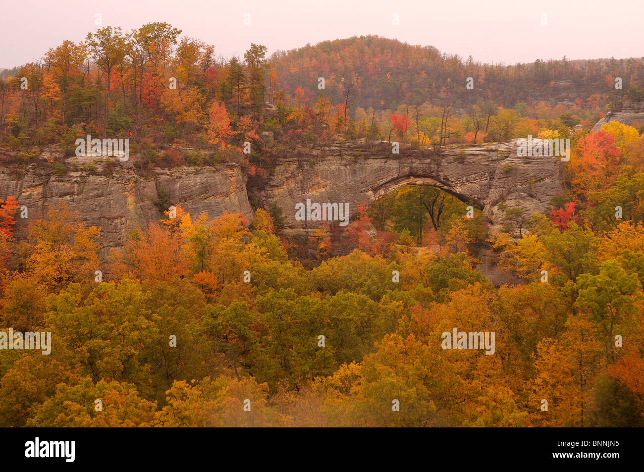 Natural Arch Daniel Boone National Forest Whitley City Kentucky USA