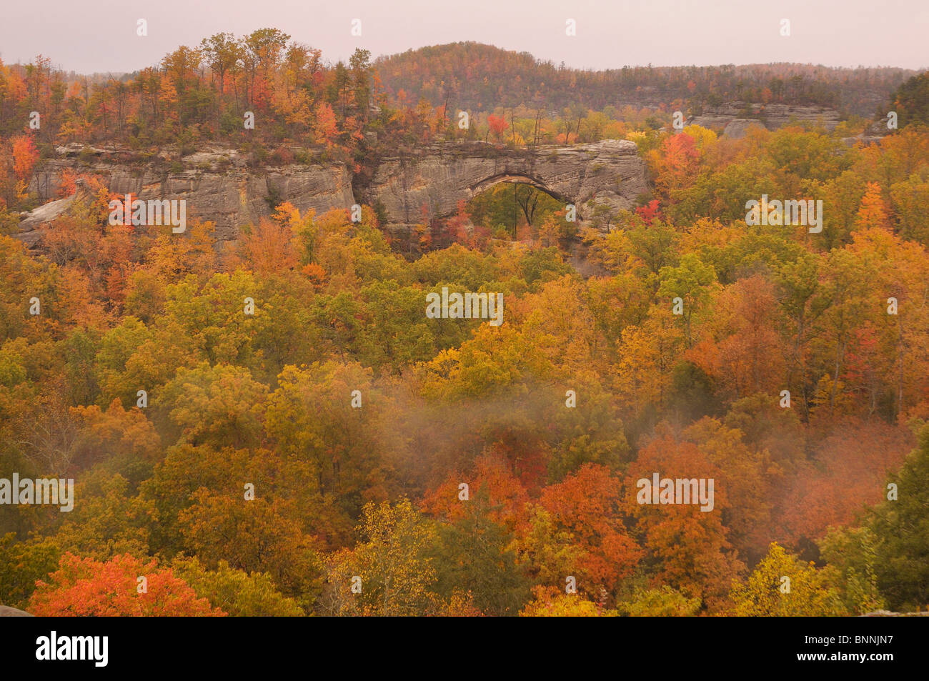 Natural Arch Daniel Boone National Forest Whitley City Kentucky USA America United States of