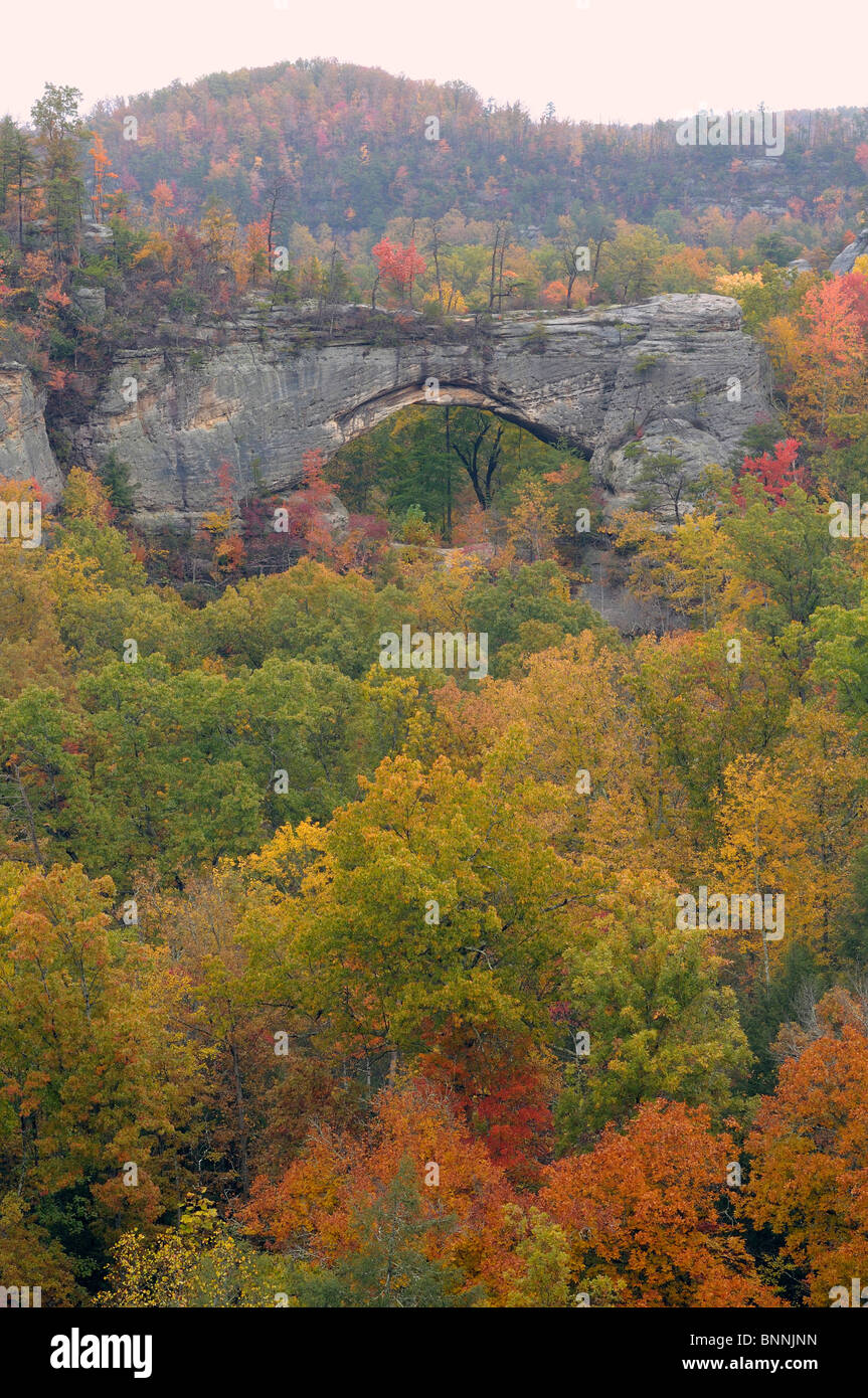 Natural Arch Daniel Boone National Forest Whitley City Kentucky USA America United States of America autumn fall forest Stock Photo