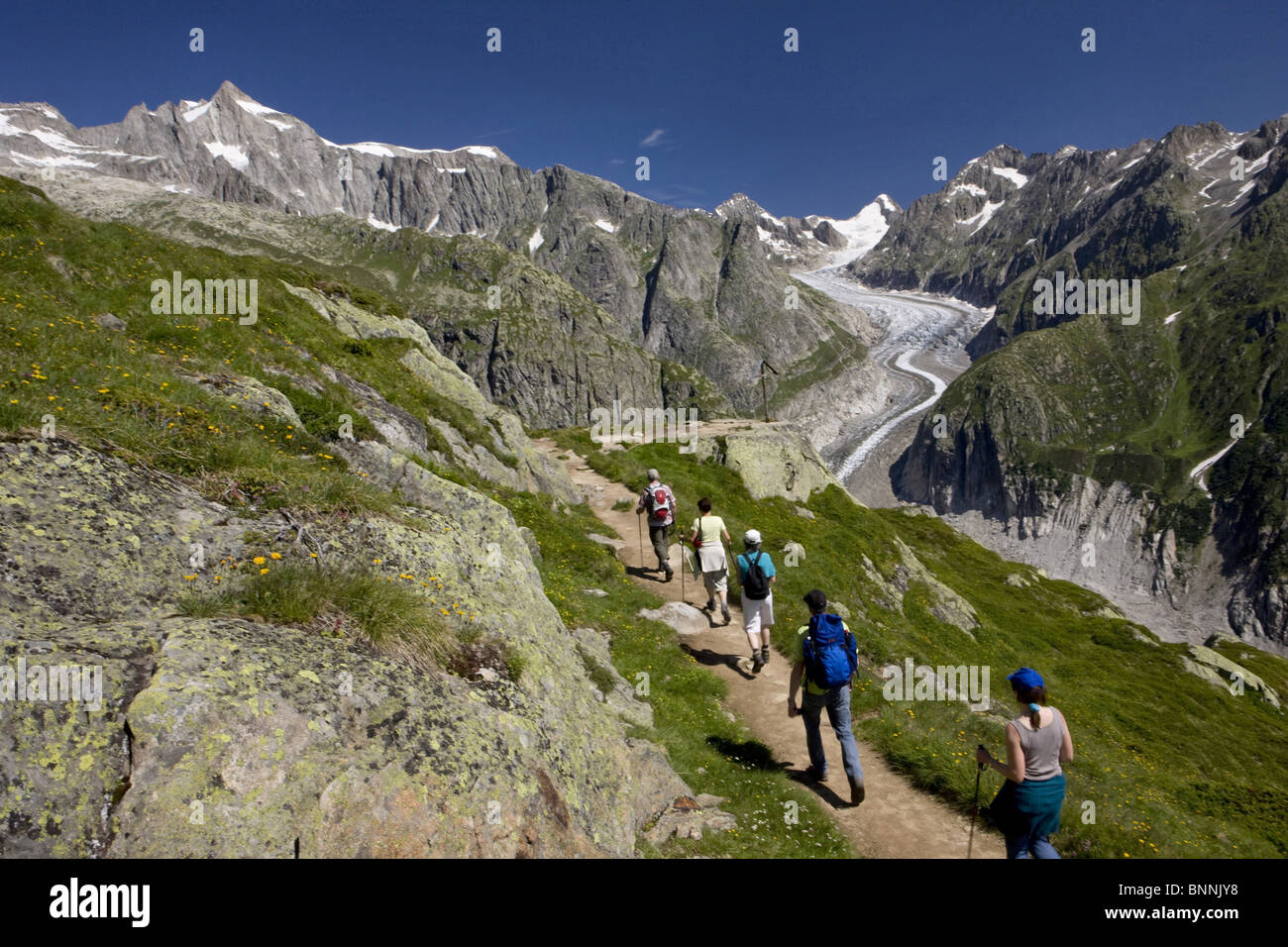 Switzerland swiss walk hike group five persons footpath scenery nature