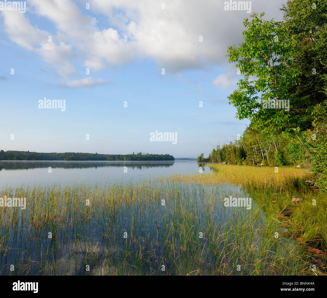 Kayak Birch Lake Boundary Waters Wilderness Canoe Area Minnesota USA America United States of America water nature Ely Stock Photo