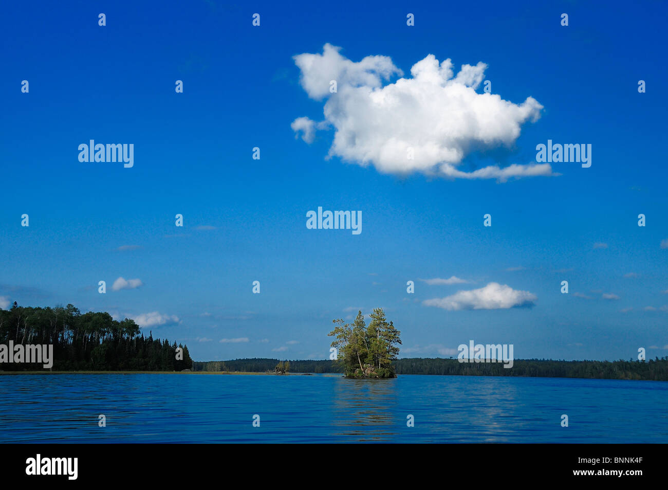Island Birch Lake Ely Minnesota USA America United States of America water lake blue cloud Stock