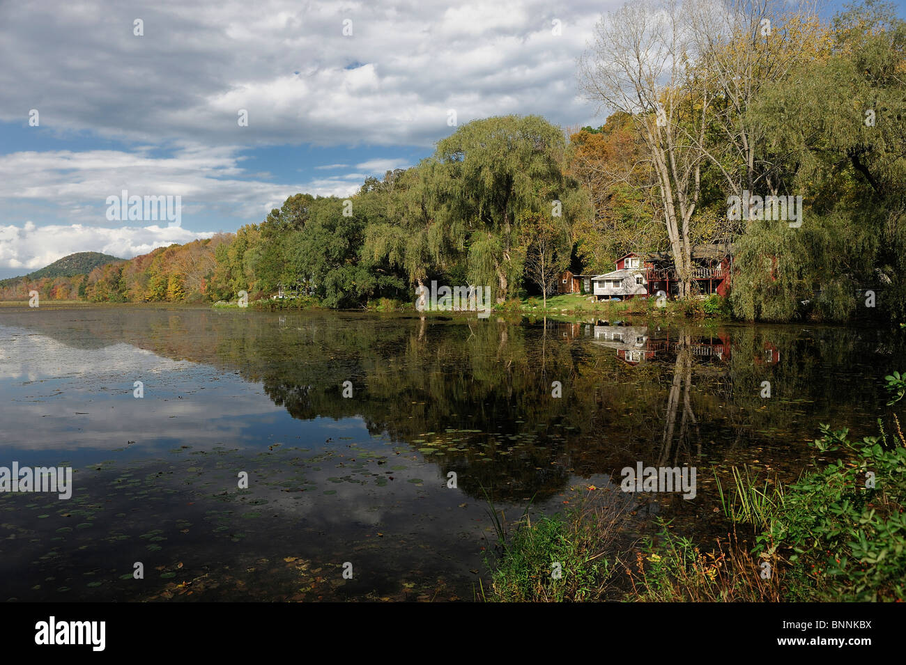Lake Amenia New York USA America United States of America house trees