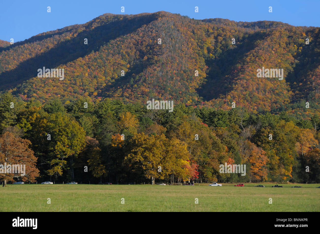 cars traffic Cades Cove loop road Fall colours colors Great Smoky
