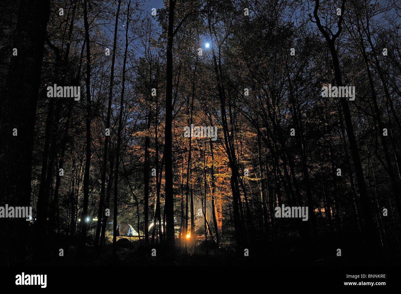 Campground night moon Cades Cove Great Smoky Mountains National Park