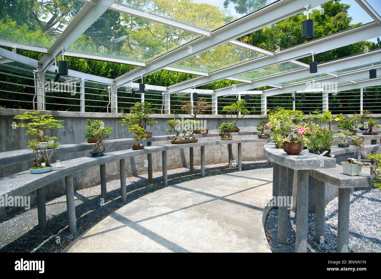 Exhibit exhibit pieces outdoor flowerpots flowering plants bonsai botany small tree trees exhibits flora garden park park Stock Photo