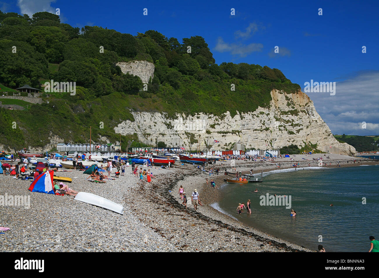 The beach at Beer, Devon, England, UK Stock Photo Alamy