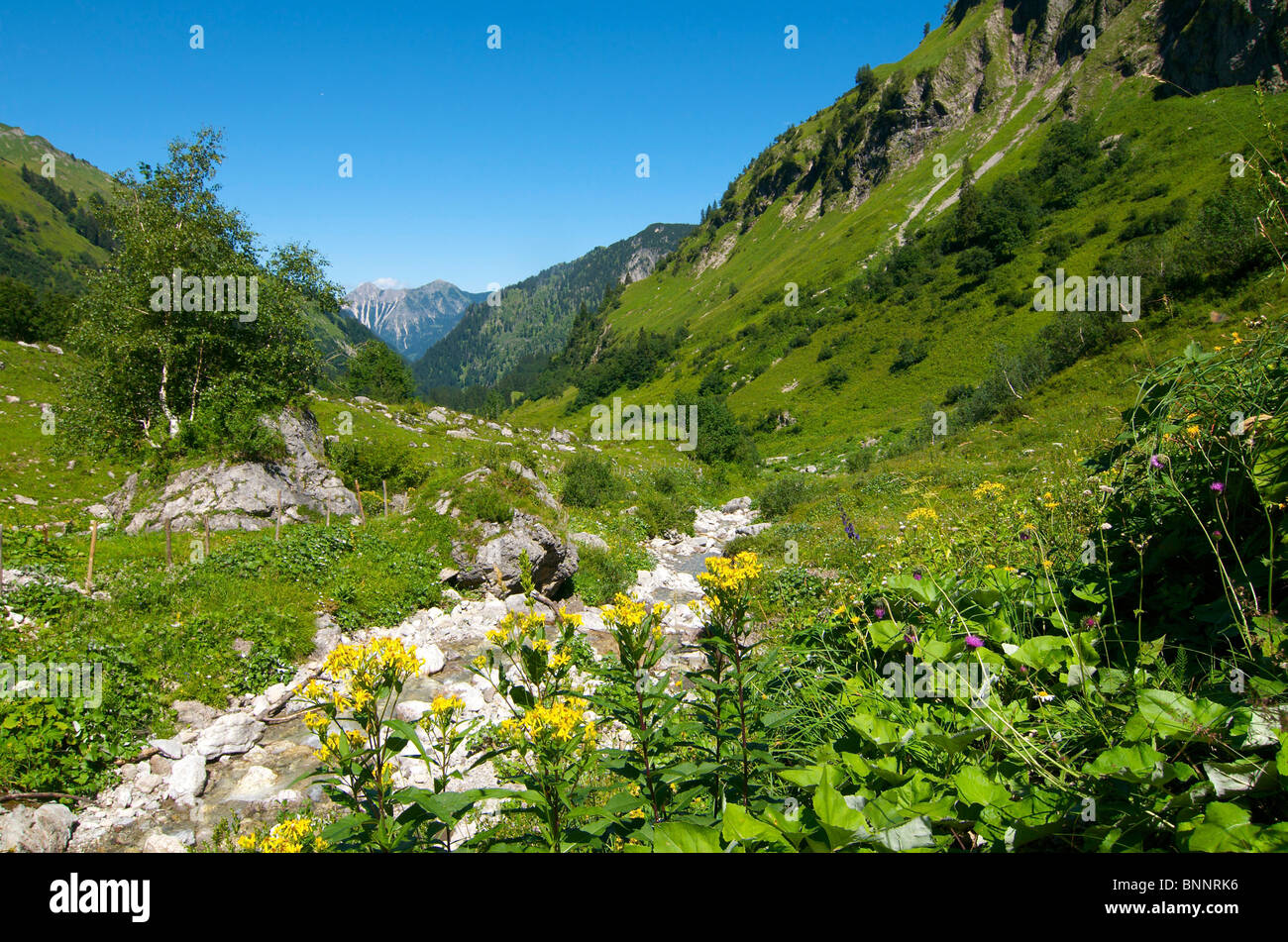 Allgaeu Allgäu Germany way mountain way mountains Hintersteiner valley ...