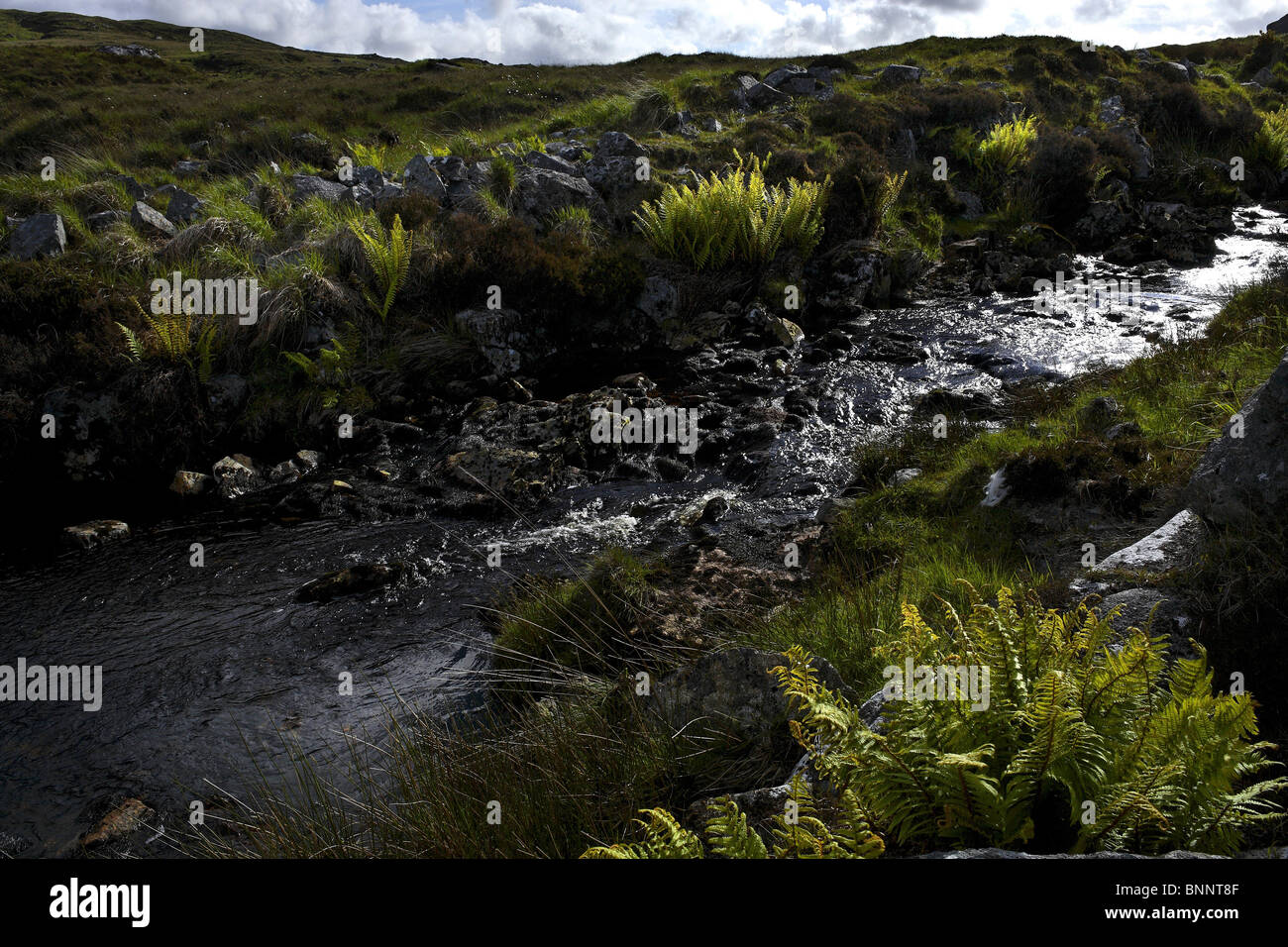 Water Stream Landscape, Connemara County Galway Ireland Stock Photo