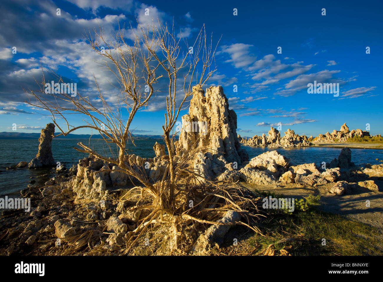 Mono Lake: Where Nature's Sculptures Meet the Sky