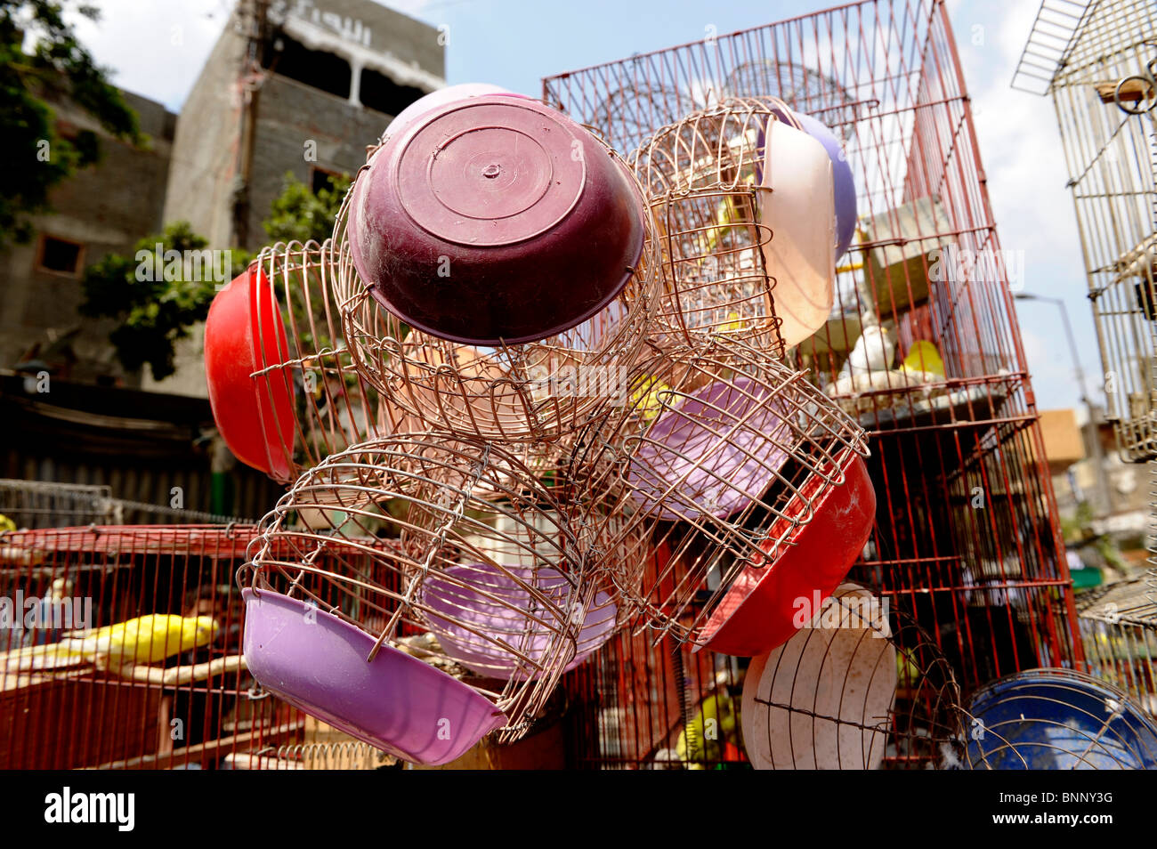 fancy coloured bird cages for sale ,The bird market , under the Al