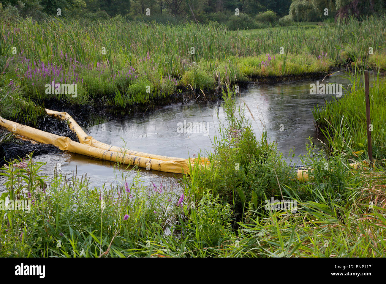 Oil Spill Cleanup Stock Photo