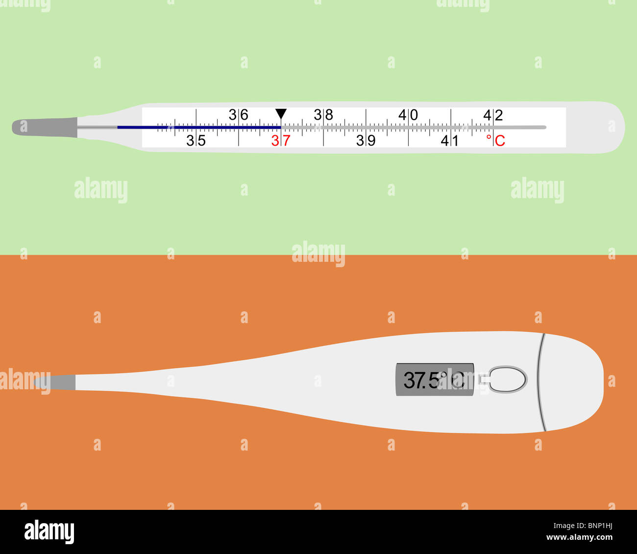 Illustration of analog and digital clinical thermometers on gray Stock Photo