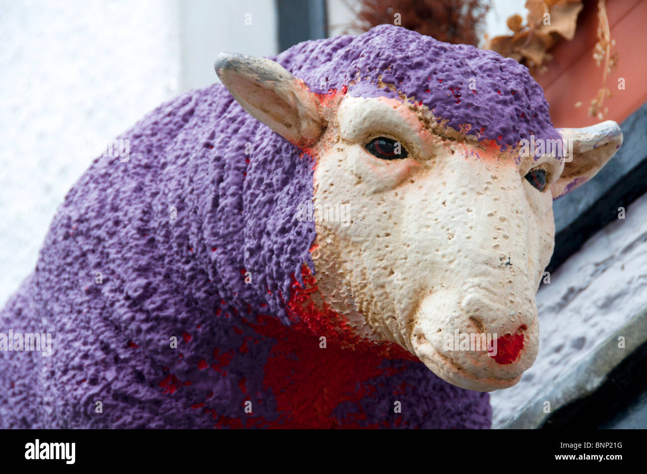Painted sheep hires stock photography and images Alamy
