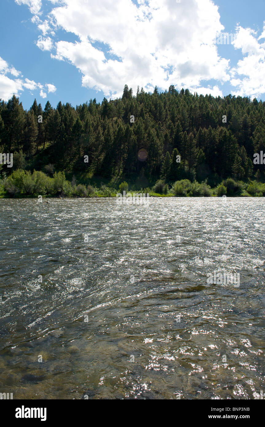 Madison River, Montana Stock Photo Alamy