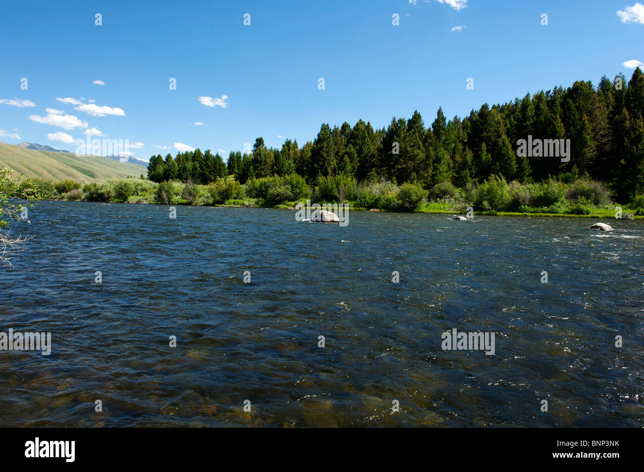 Madison River, Montana Stock Photo Alamy