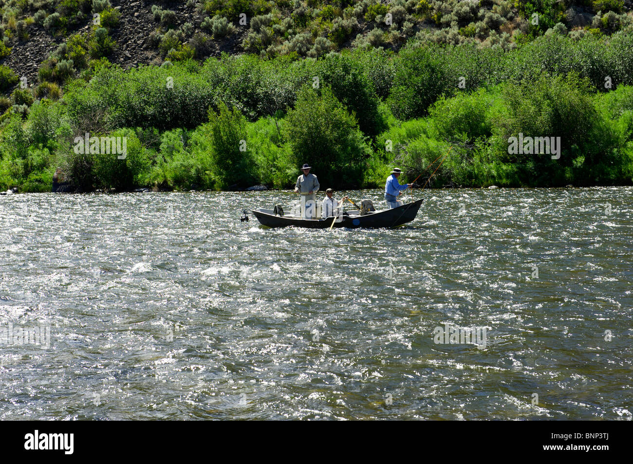 Guided fly fishing from a float boat, Madison River, Montana Stock Photo -  Alamy