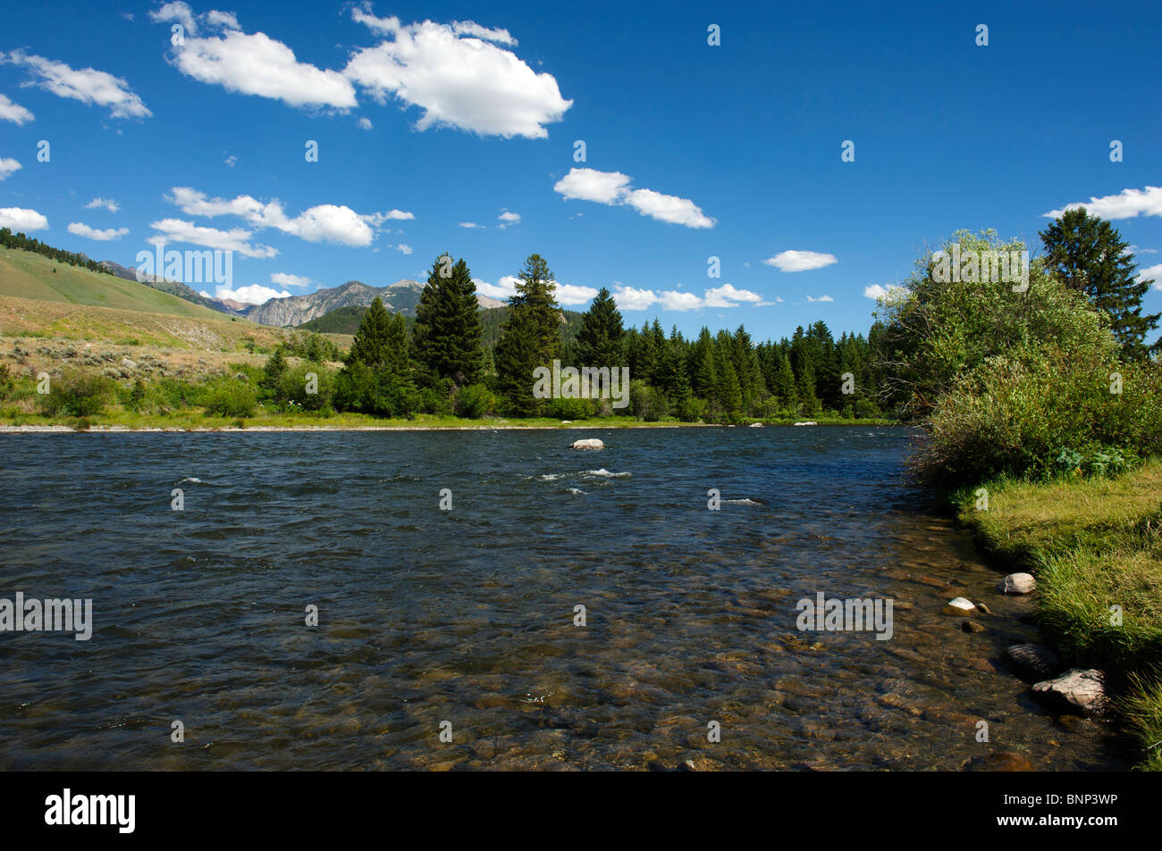Madison River, Montana Stock Photo Alamy