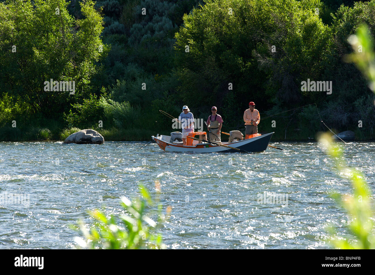 Guided fly fishing from a float boat, Madison River, Montana Stock