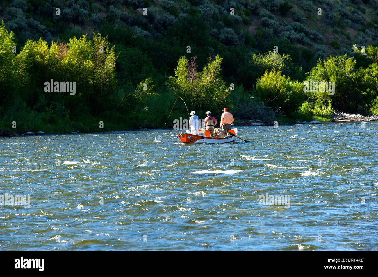 Guided fly fishing from a float boat, Madison River, Montana Stock