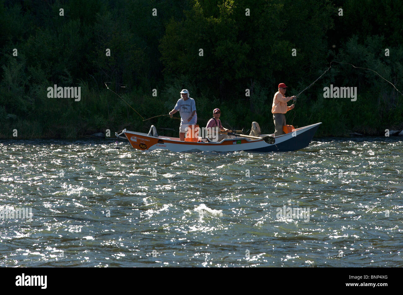 Guided fly fishing from a float boat, Madison River, Montana Stock