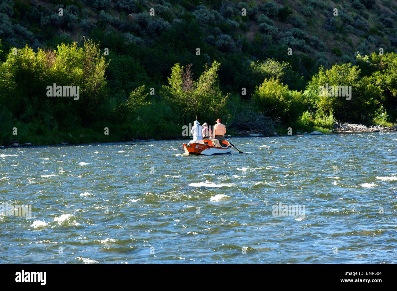 Guided fly fishing from a float boat, Madison River, Montana Stock