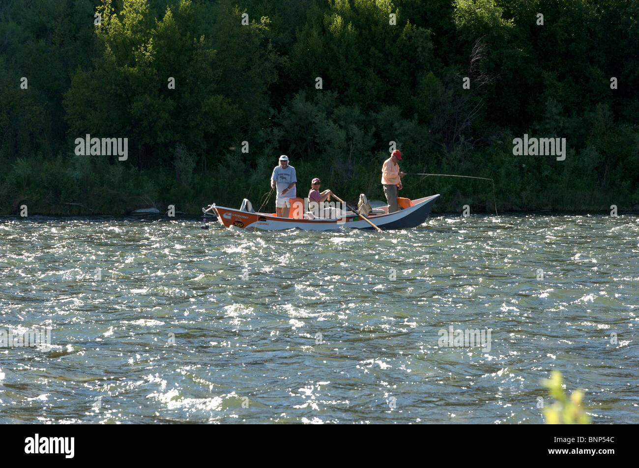 Guided fly fishing from a float boat, Madison River, Montana Stock