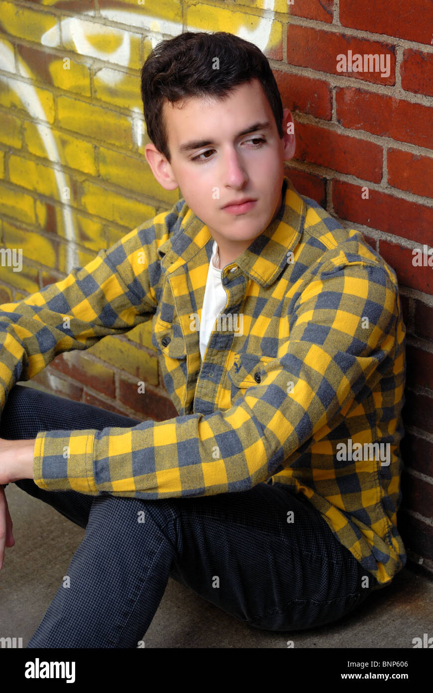 Posed portrait of a young man with dark hair Stock Photo - Alamy