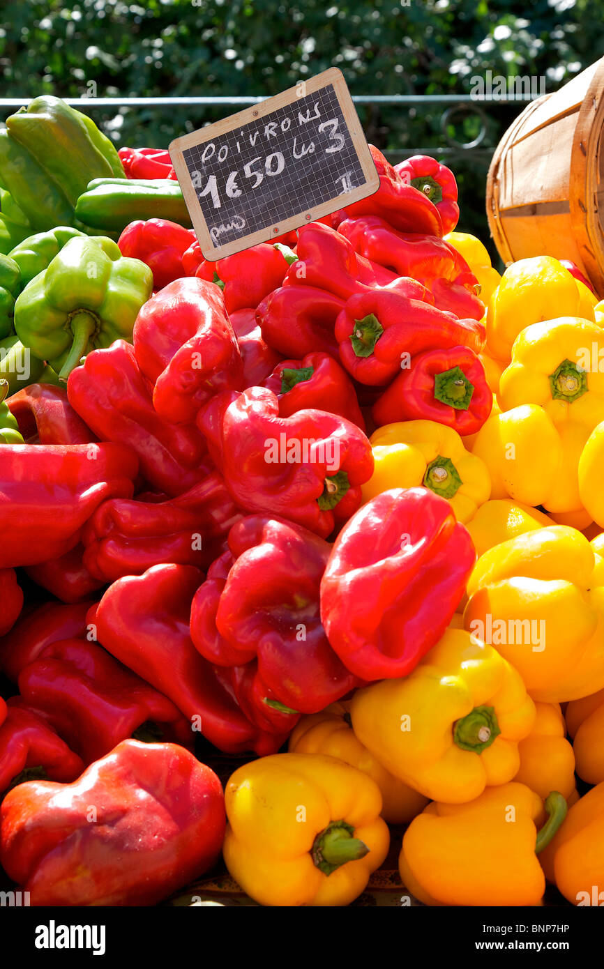 A selection of red yellow and green peppers on a market stall Stock ...