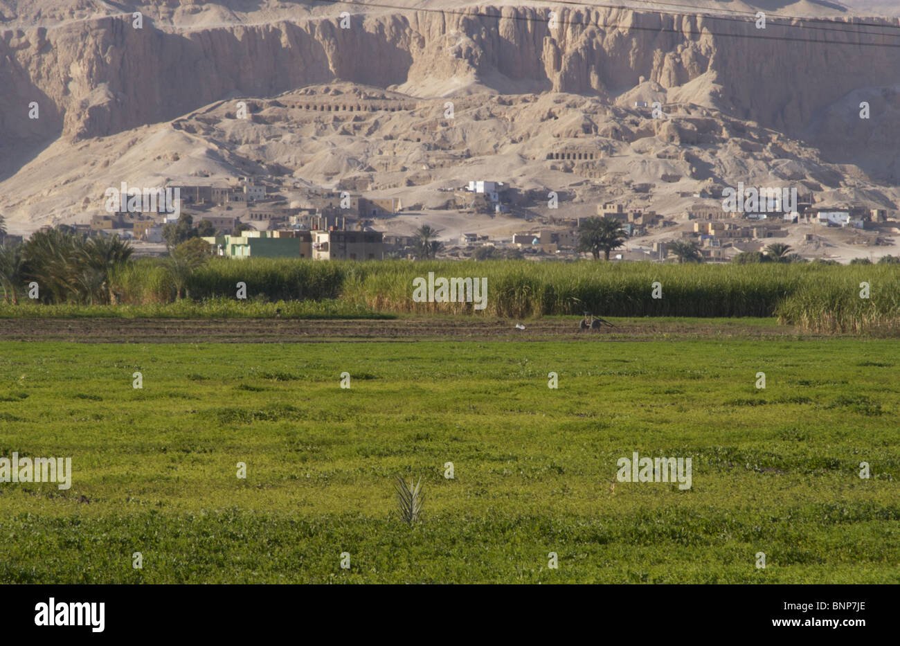 Egypt. Luxor. Agricultural area. Arid zone at the borrom Stock Photo