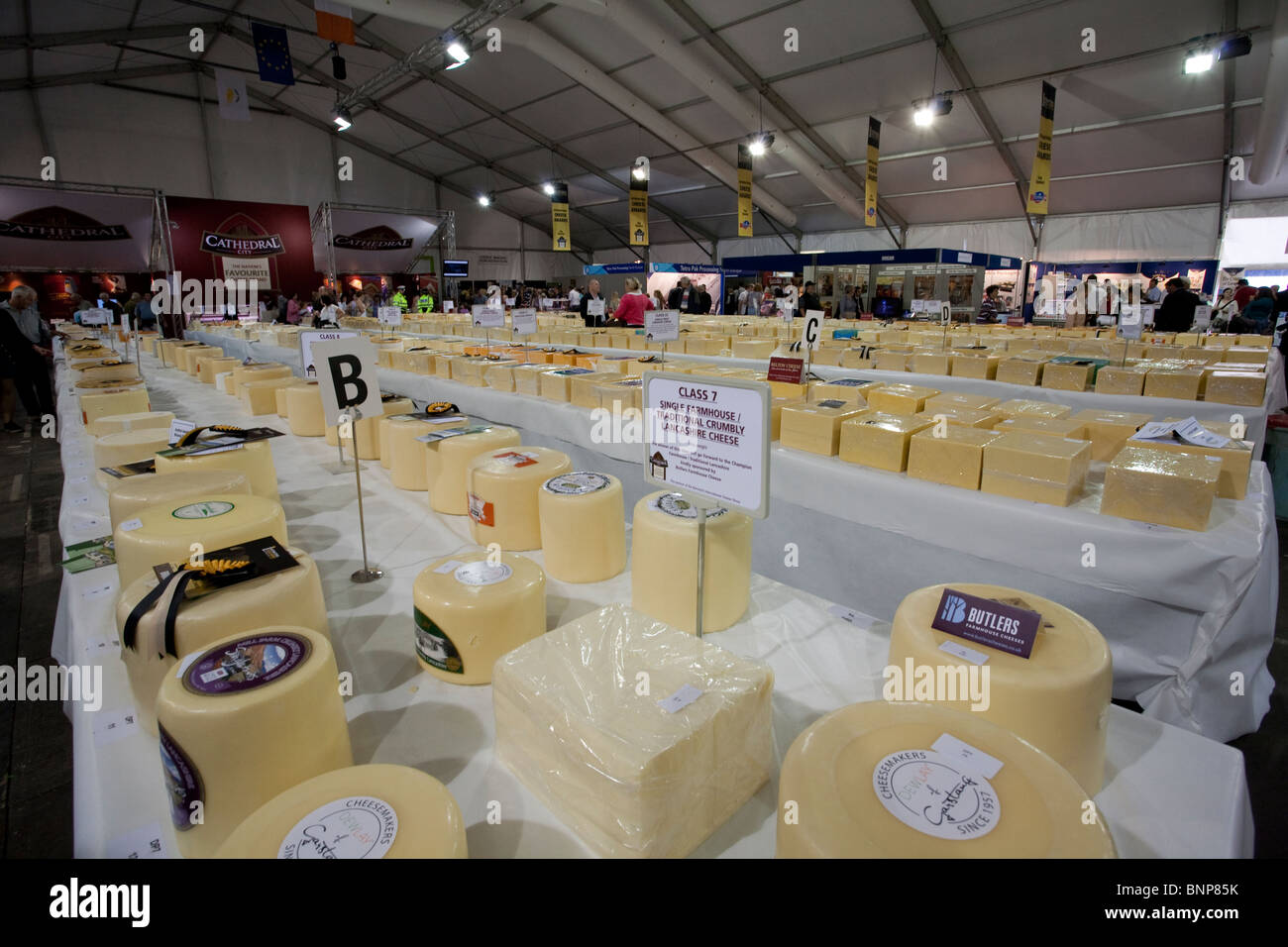 The winning cheeses displayed at the Nantwich Summer Show Stock Photo