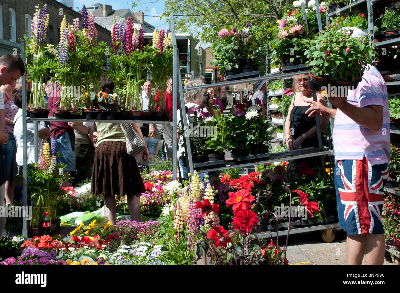 Seller showing his wares, Columbia Road Flower Market, London, E2