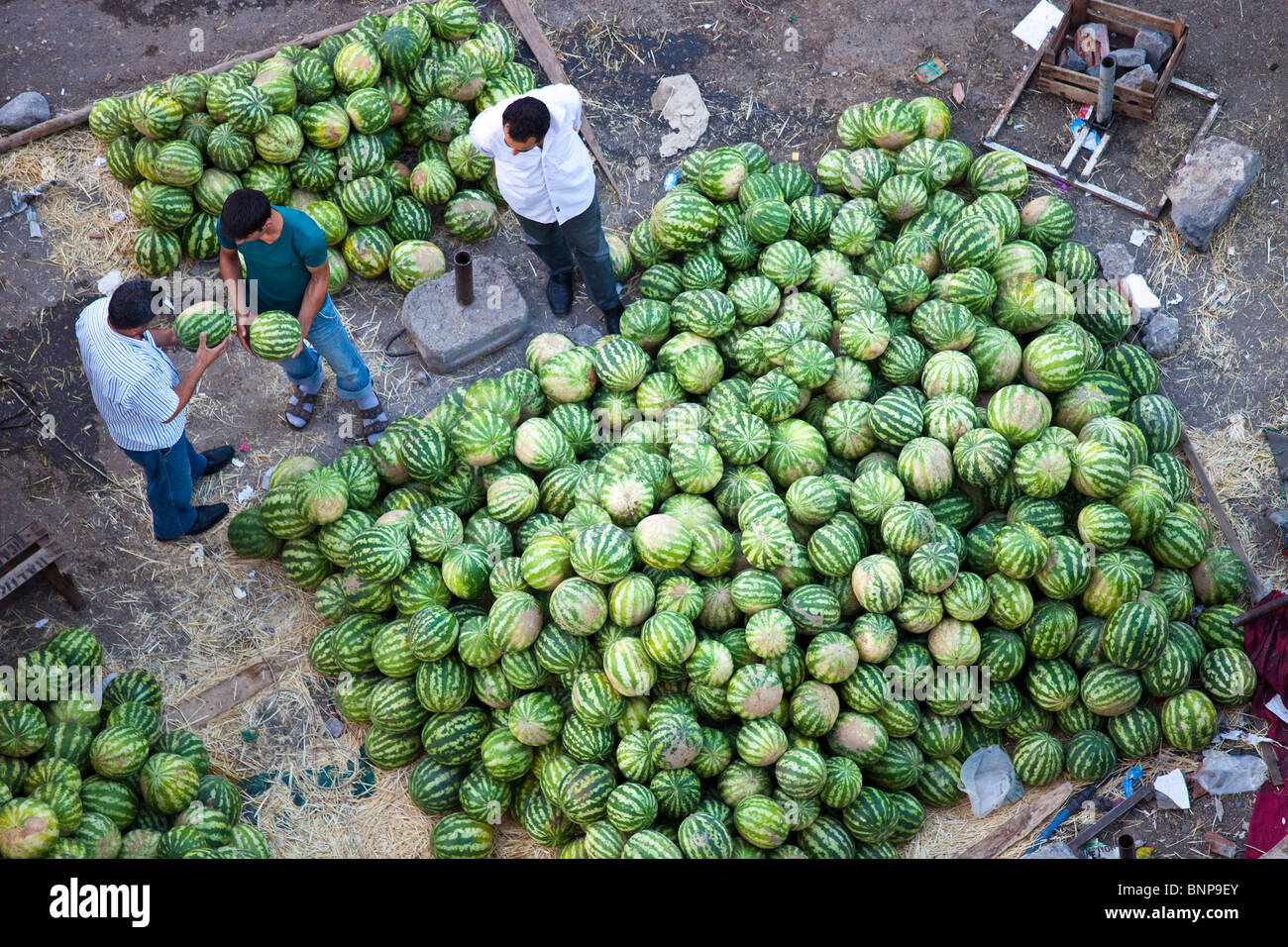 Guys Slicing Watermelon To Sell at Their Vendor at Galata District of  Istanbul Editorial Stock Photo - Image of knife, seller: 65970078