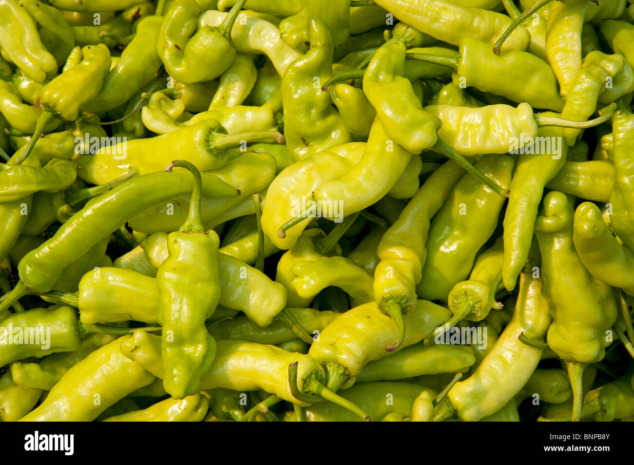 Green chillies hi-res stock photography and images - Alamy