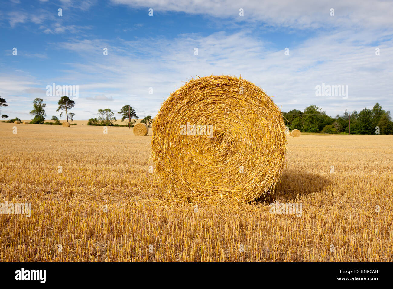 A round bale under gorgeous blue skies in a newly harvested field, in ...
