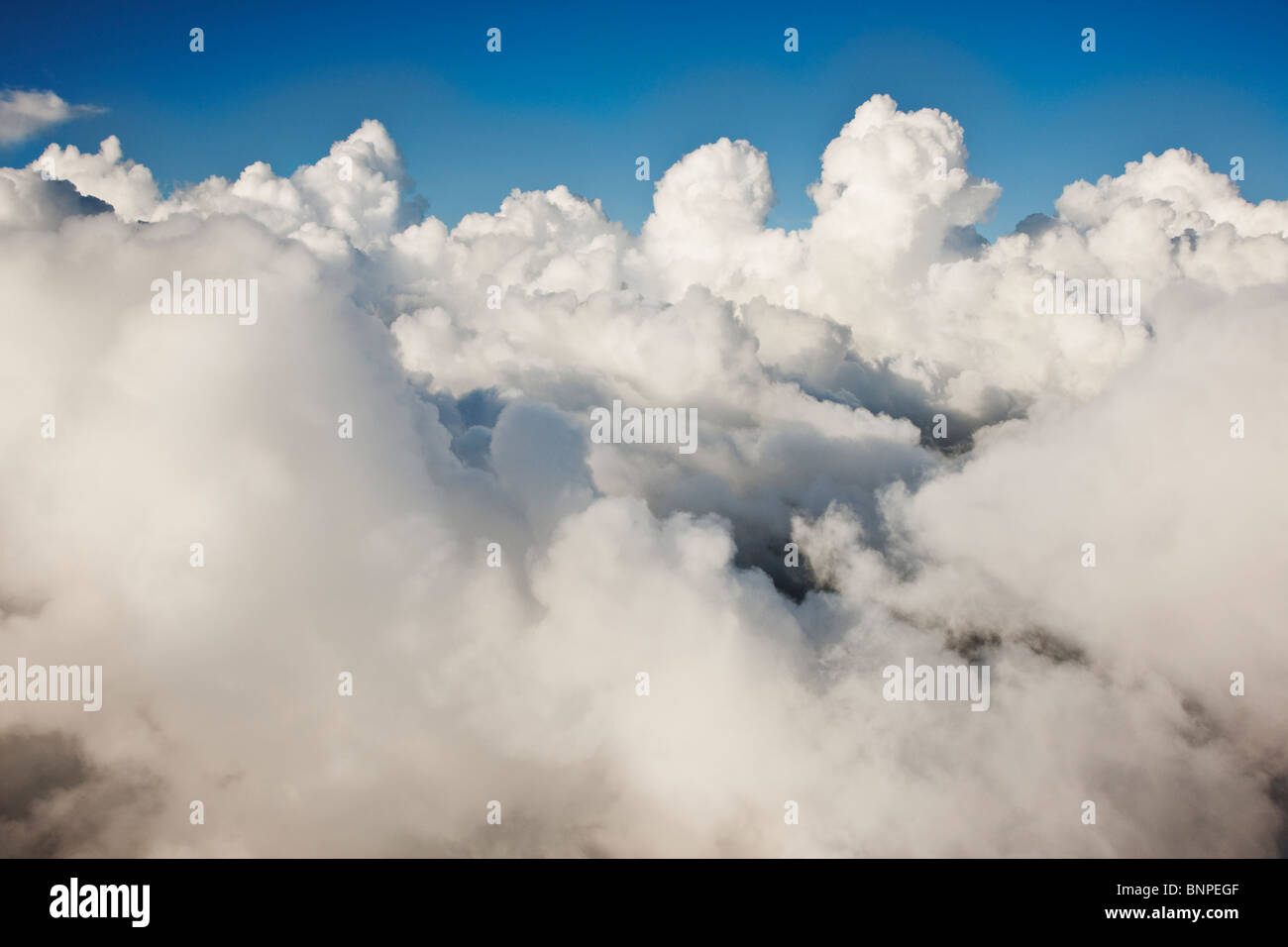 These clouds are often described as “puffy” and most often appear in clusters Stock Photo