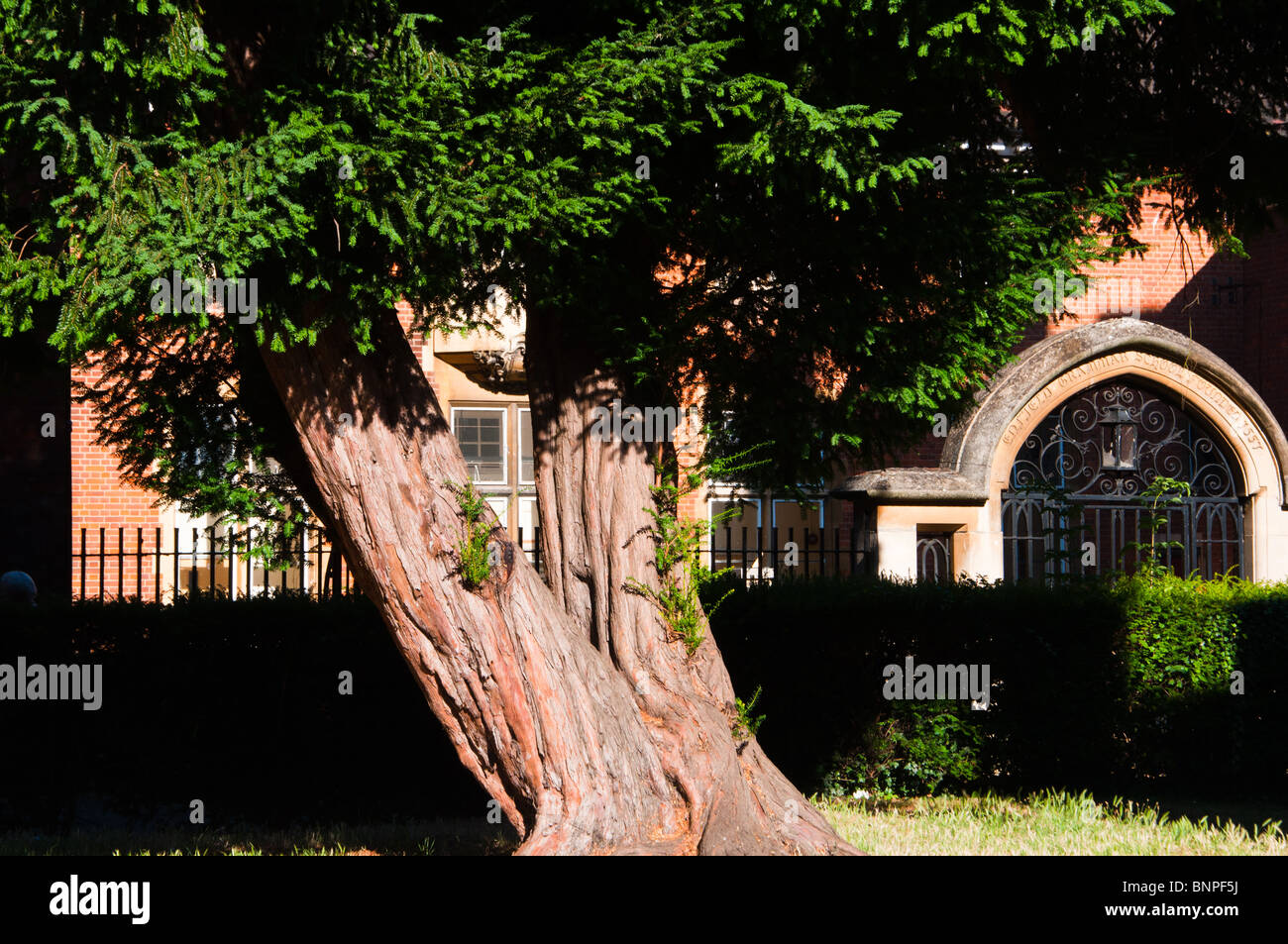 The entrance gate of Enfield Grammar school, London Stock Photo Alamy