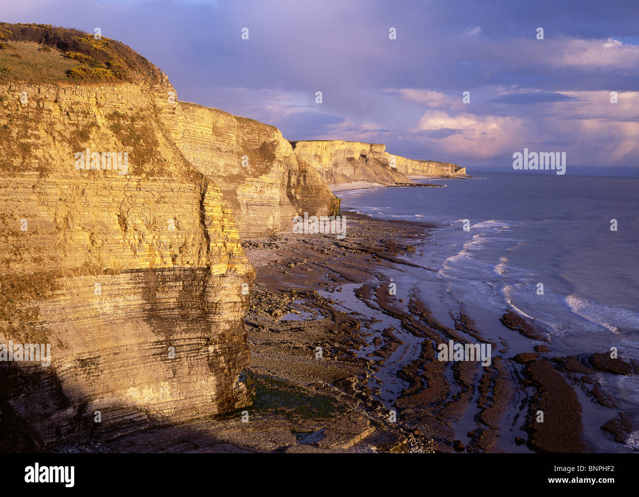 Cliffs at Traeth Mawr beach Near Southerndown Vale of South