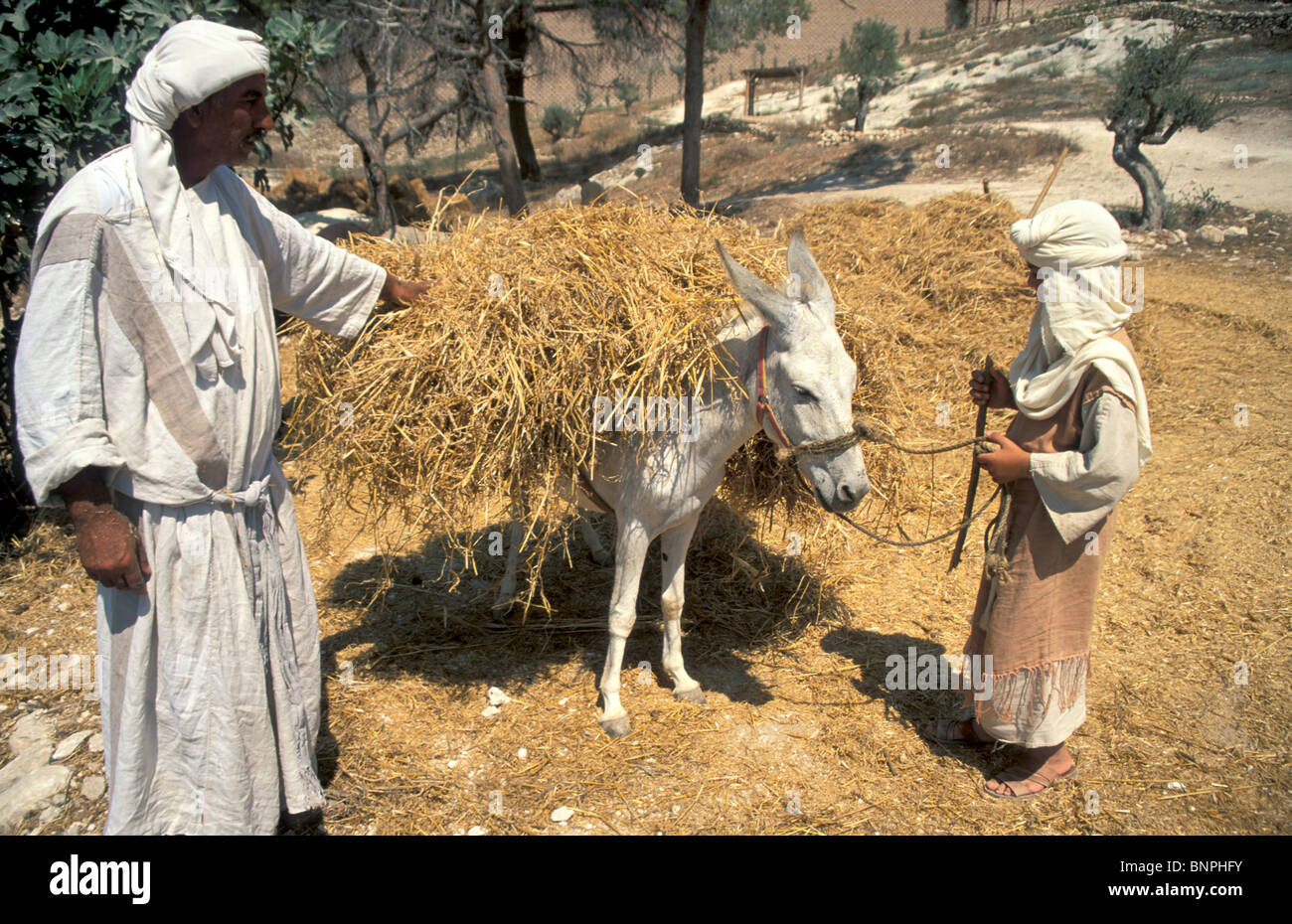 Israel, Galilee, Nazareth Village, Recreating Nazareth In The Time Of ...