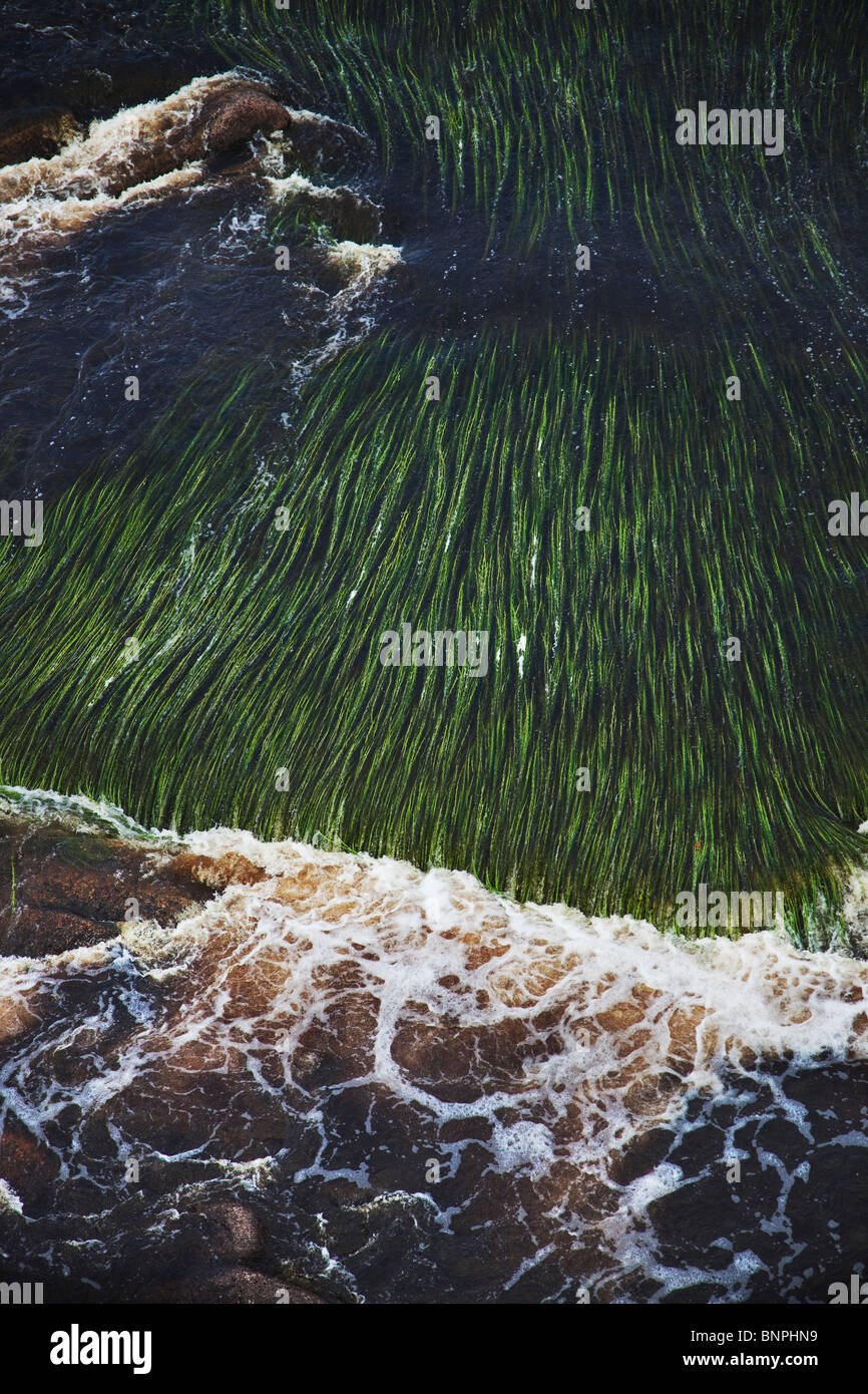 Green water grass creates abstract patterns in a series of waterfalls in the river Stock Photo