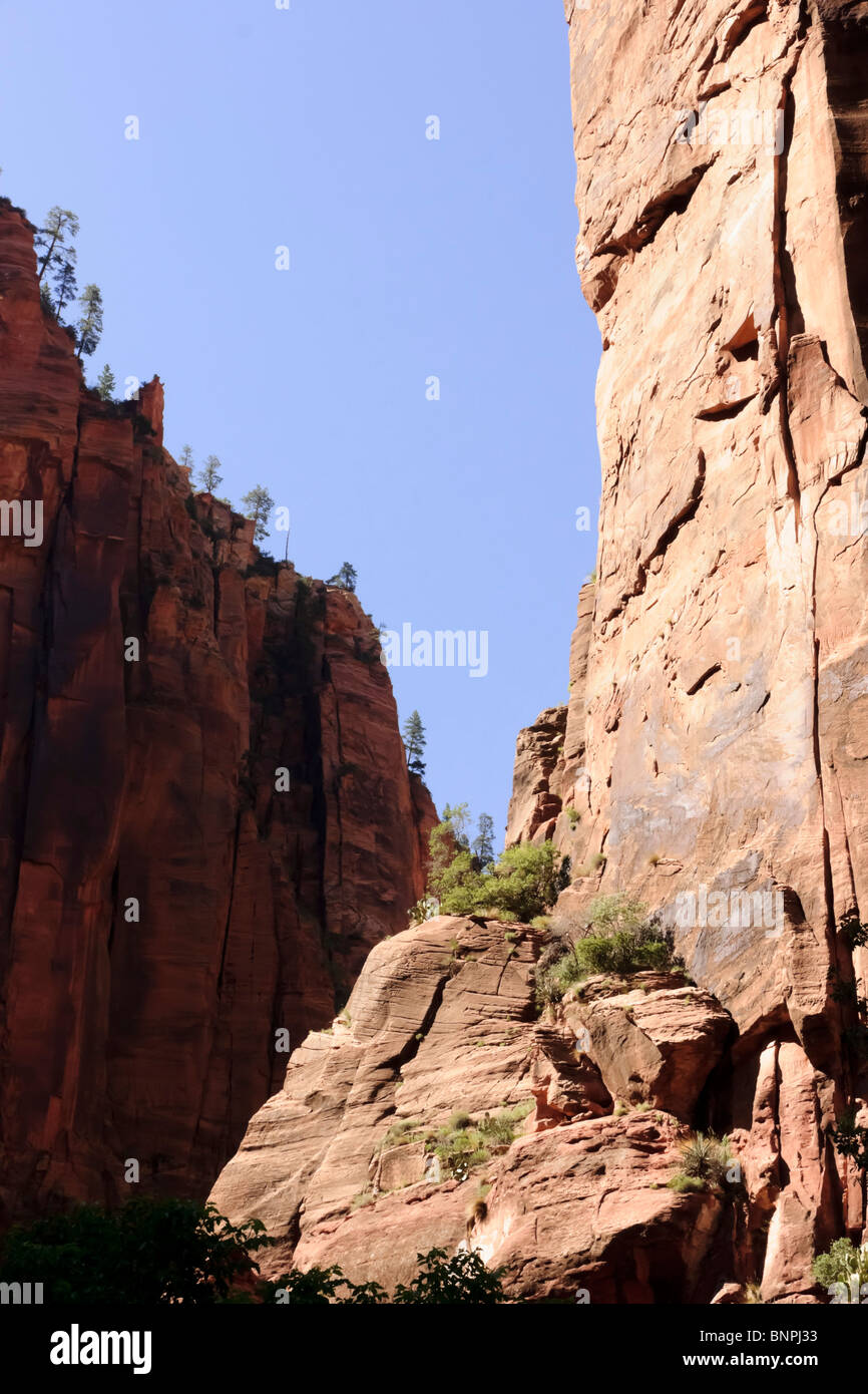 Zion Canyon Scenic Drive Hi-res Stock Photography And Images - Alamy