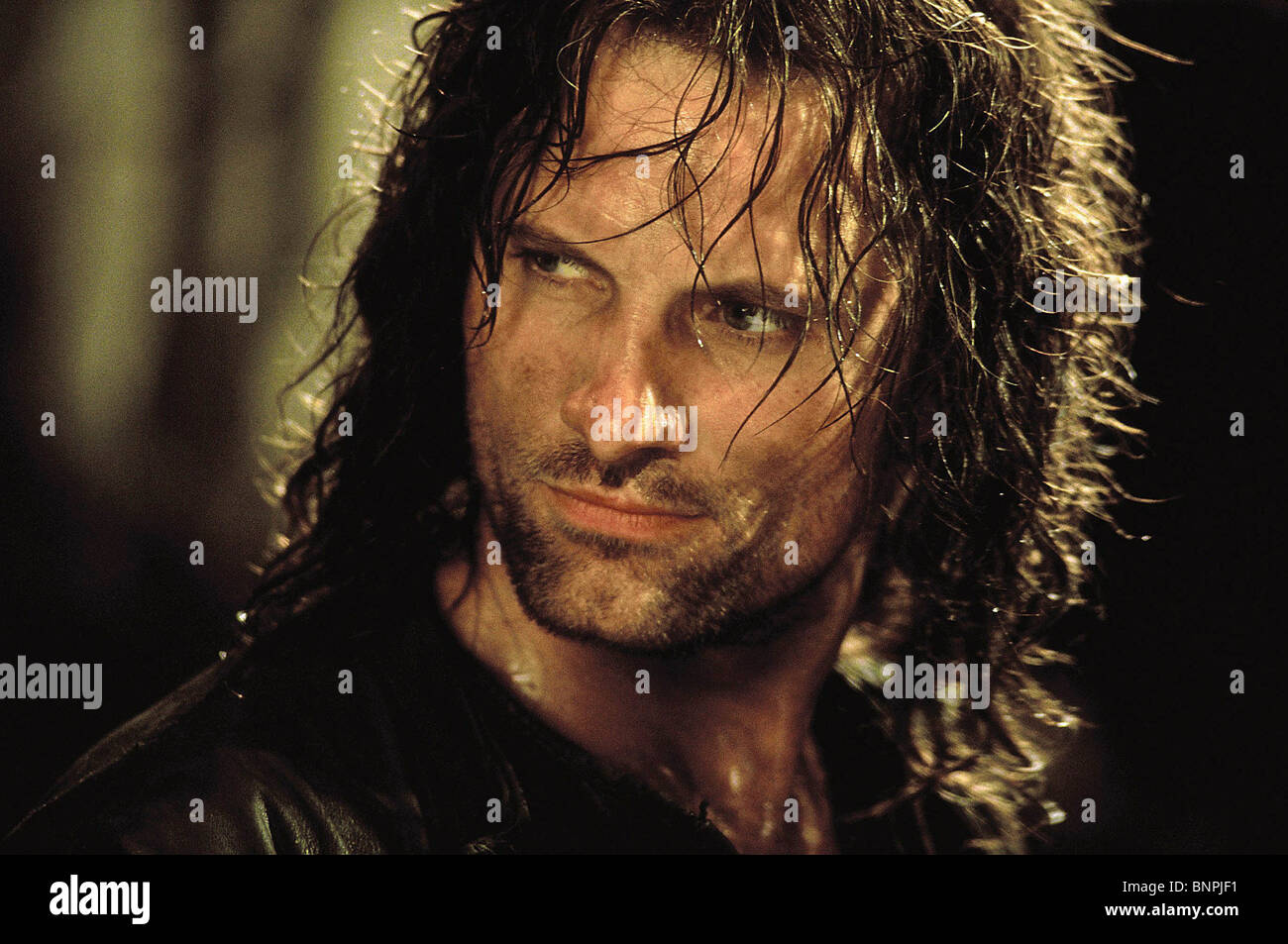 Viggo Mortensen The Lord Of The Rings The Fellowship Of The Ring Stock Photo Alamy